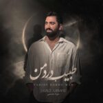 دانلود آهنگ جواد عباسی طبیبه درد من